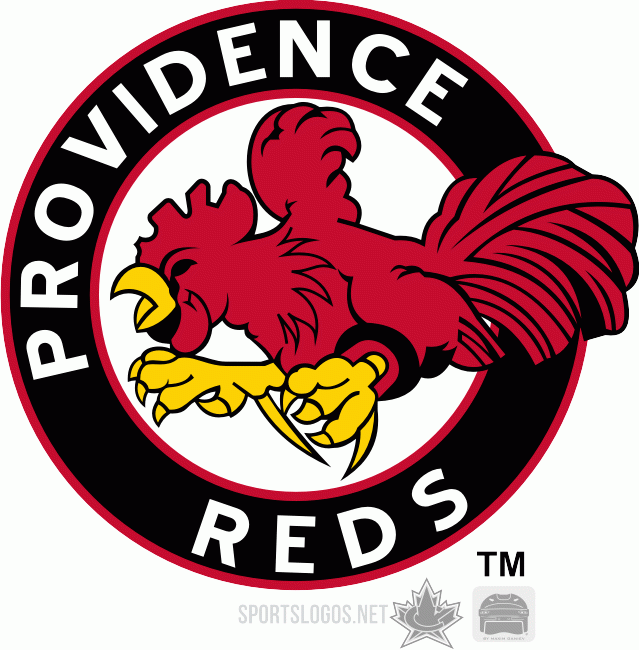 Providence Reds 1975 76-1976 77 Primary Logo iron on heat transfer...